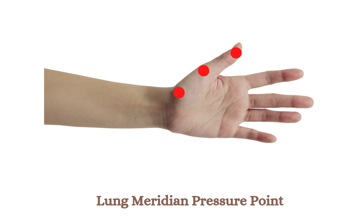 Lung Meridian Pressure Point.