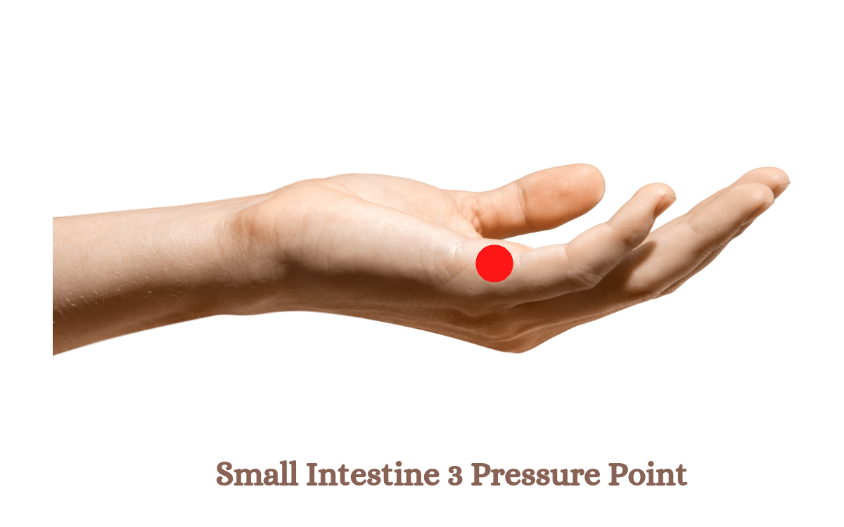 Small Intestine 3 Pressure Point.